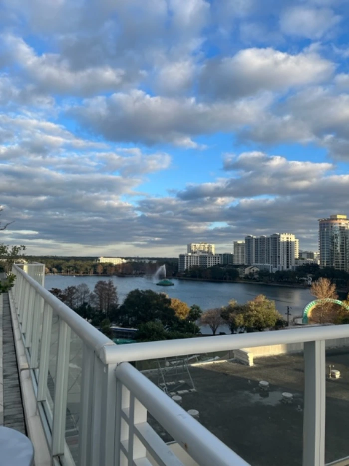 Overview - Vue at Lake Eola
